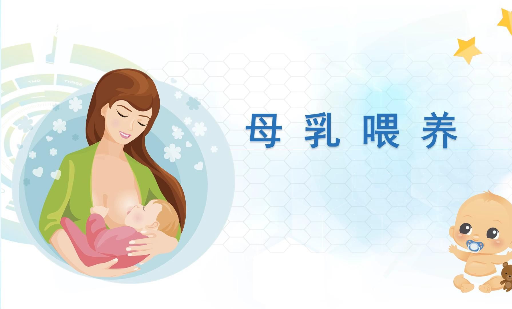 哺乳纲ppt图片