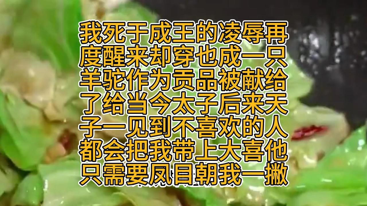 我死于成王的凌辱再度醒来却穿成了一直羊驼