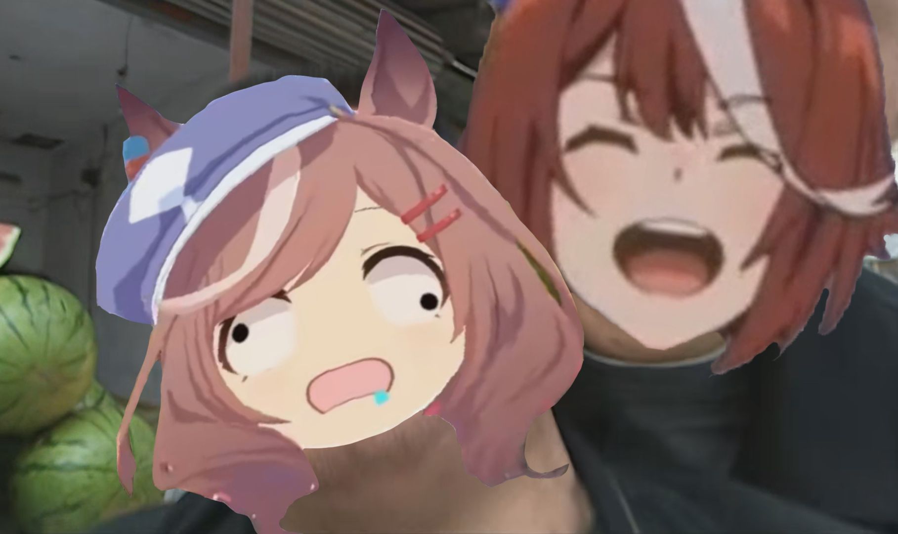 🐱火红的哈基朗！！🐱