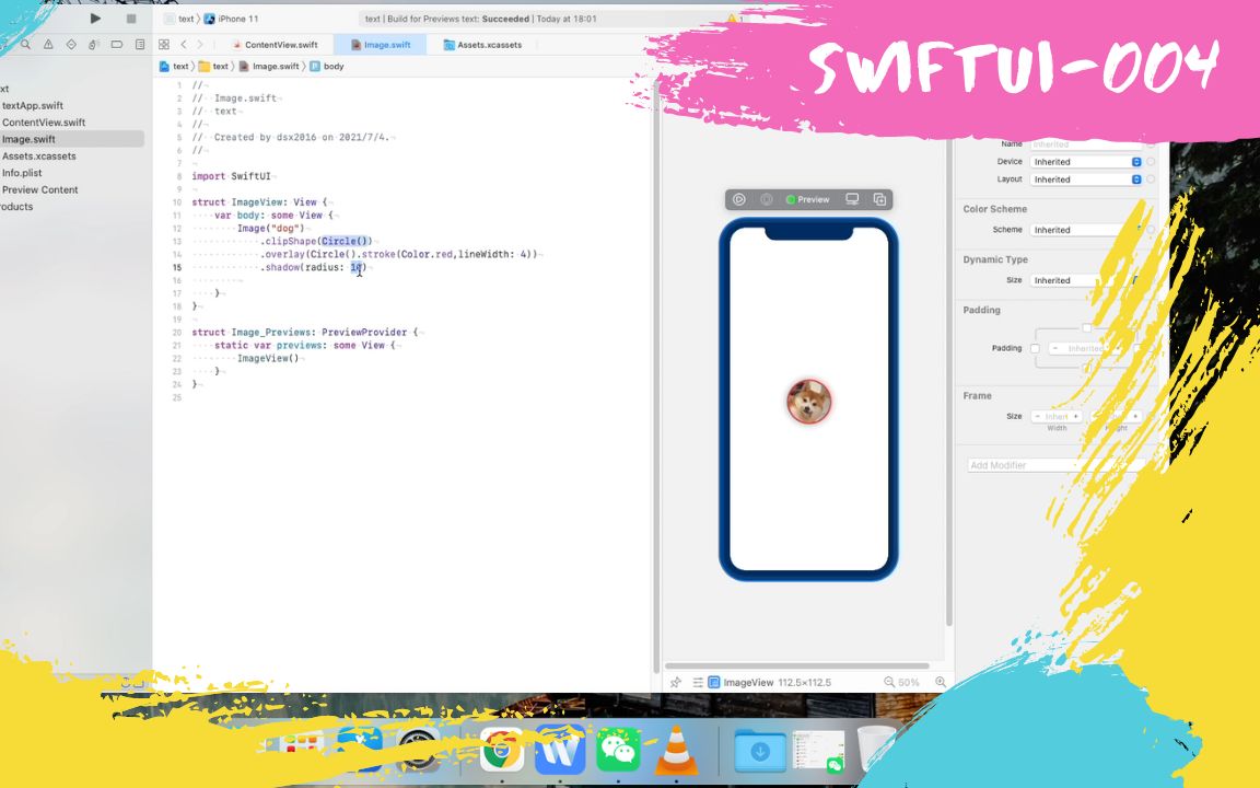 SwiftUI004图片加载以及圆形,边框和阴影哔哩哔哩bilibili