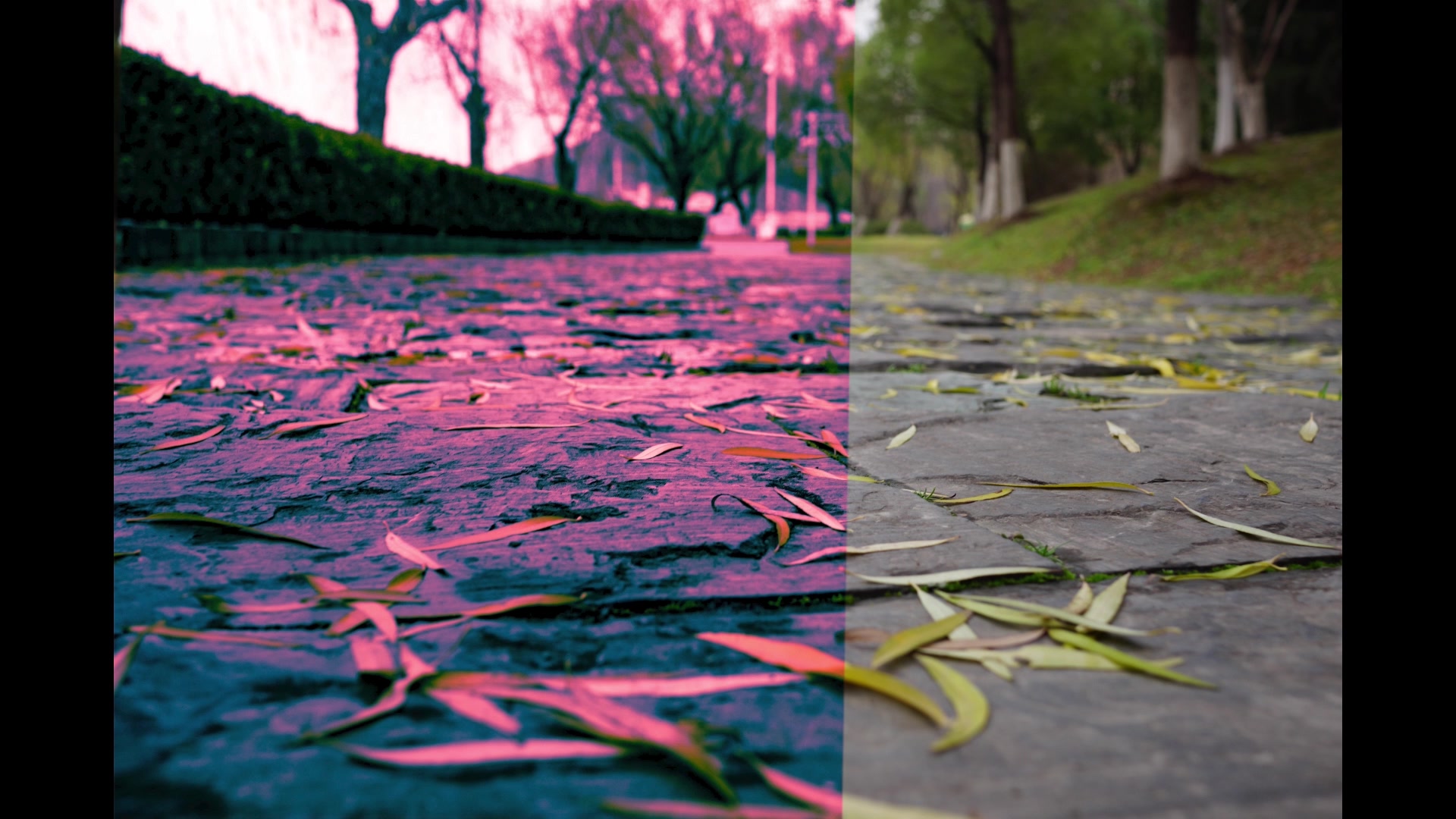 【照片调色】一次不正常的照片调色,感觉原图比较好看