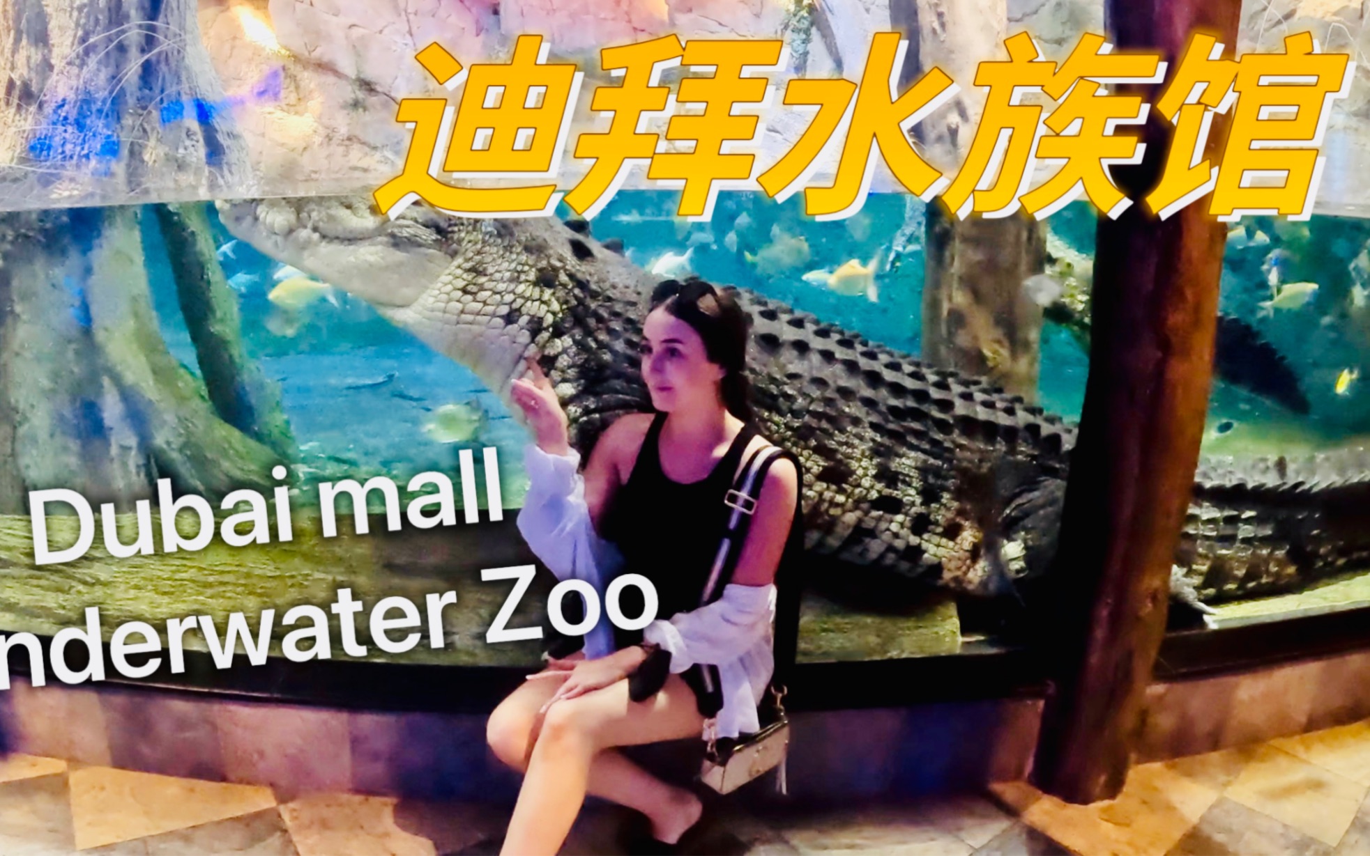 迪拜mall水族馆,不过如此!哔哩哔哩bilibili