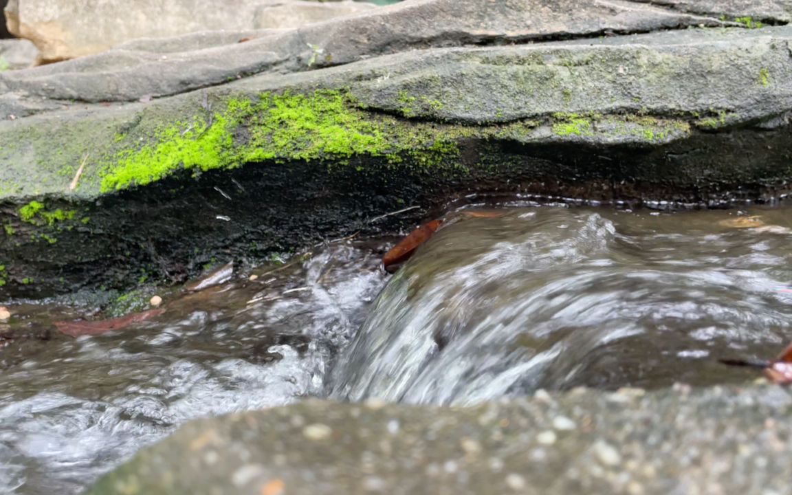 【政府公园】小溪潺潺 降噪版