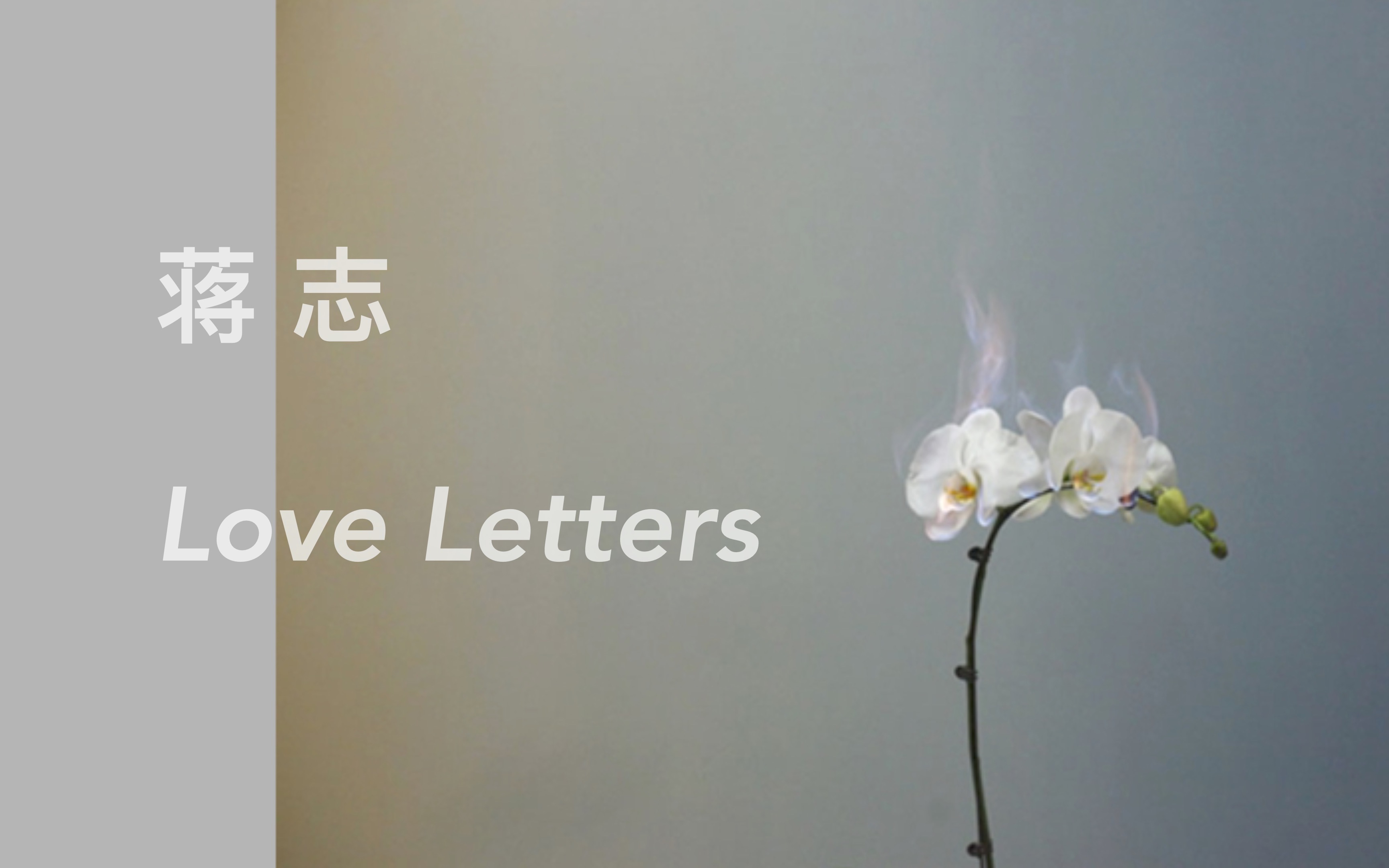 翻书|蒋志:Love Letters哔哩哔哩bilibili