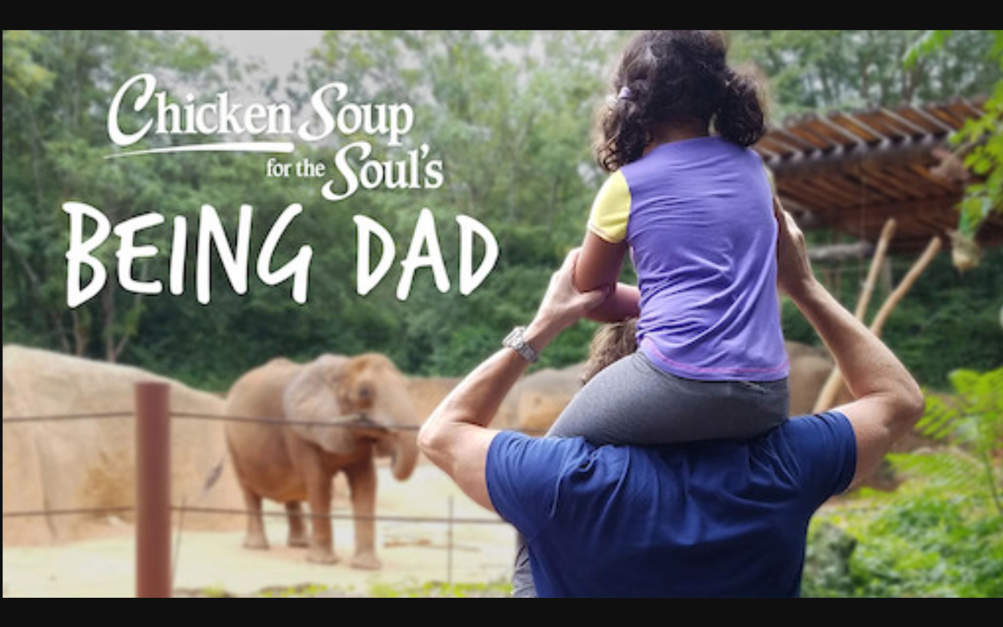 [图]【Netflix】父爱心灵鸡汤 全8集 1080P英语英字 Chicken Soup For The Soul's Being Dad