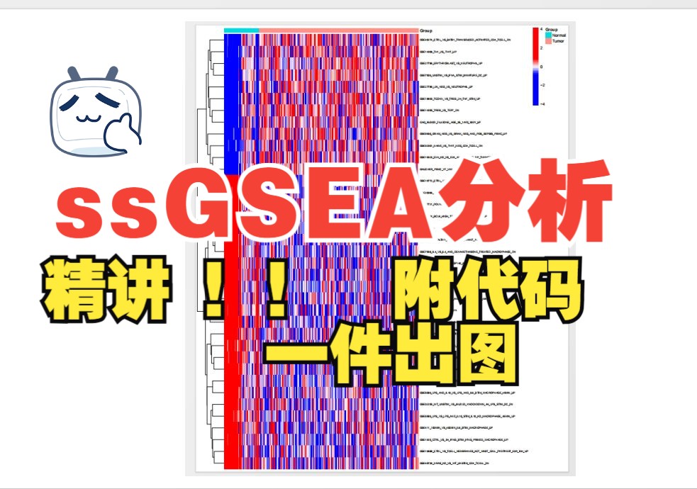 26(附代码)精讲,ssGSEA分析讲解,一键出图!!!哔哩哔哩bilibili