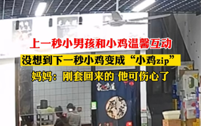 7月17日 #安徽亳州 上一秒小男孩和小鸡温馨互动,没想到下一秒小鸡变成“小鸡zip”,妈妈:刚套回来的,他可伤心了. #没想到吧我也没想到 #意不意外...