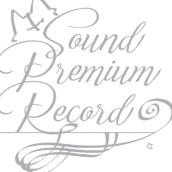 未開封新品9-nine- Sound Premium Record ぱれっと - その他