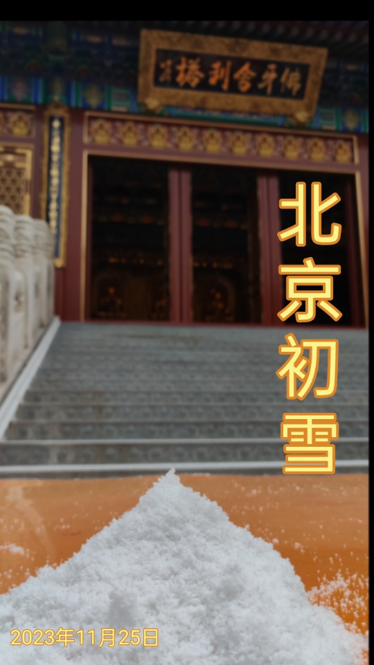 北京初雪 2023年11月25日第一场雪,在北京灵光寺佛牙舍利塔前拍摄!