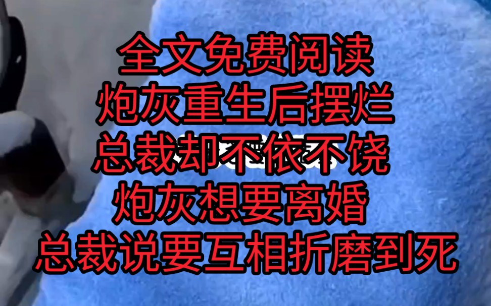 名:炮灰小意 上一世我是炮灰,衬托出裴珩对另一个女人的用情至深,最后落得一个家破人亡的凄凉下场.重生后我觉得摆烂最舒服,不闻不问,坐等裴珩提...