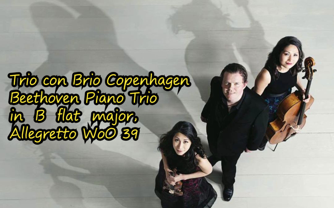 [图]古典音乐名演：Hi-Res：4K，哥本哈根布里奥三重奏Trio con Brio Copenhagen演奏贝多芬《降B大调第八钢琴三重奏 小快板》