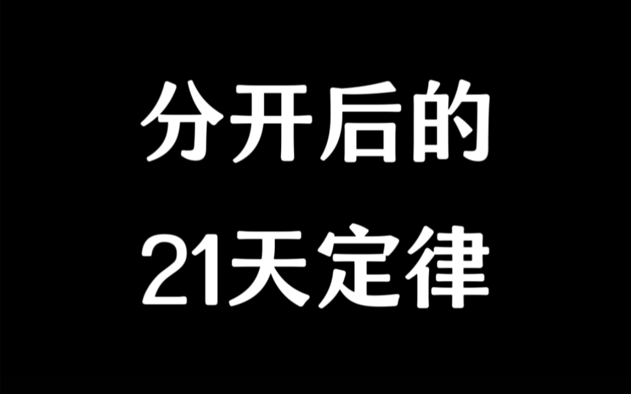 分开后的21天定律哔哩哔哩bilibili