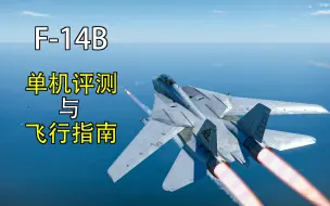 【战雷】真正的TOPGUN—F-14B飞行指南与单机测评