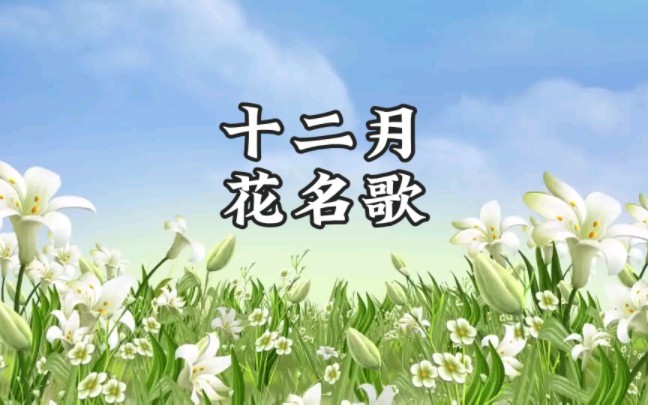 小学二年级语文课文朗读 十二月花名歌哔哩哔哩bilibili