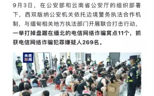 公安机关成功打掉缅北电信网络诈骗窝点11个，抓获犯罪嫌疑人269名