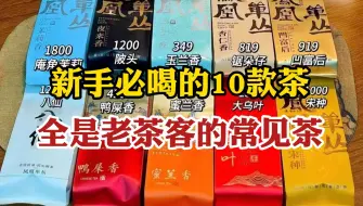 Download Video: 如果你是新手，建议一定要喝10款茶叶，全是老茶客茶桌上的常见茶