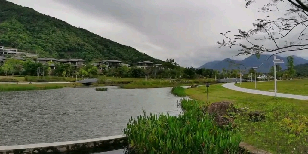 从化从都湿地公园图片