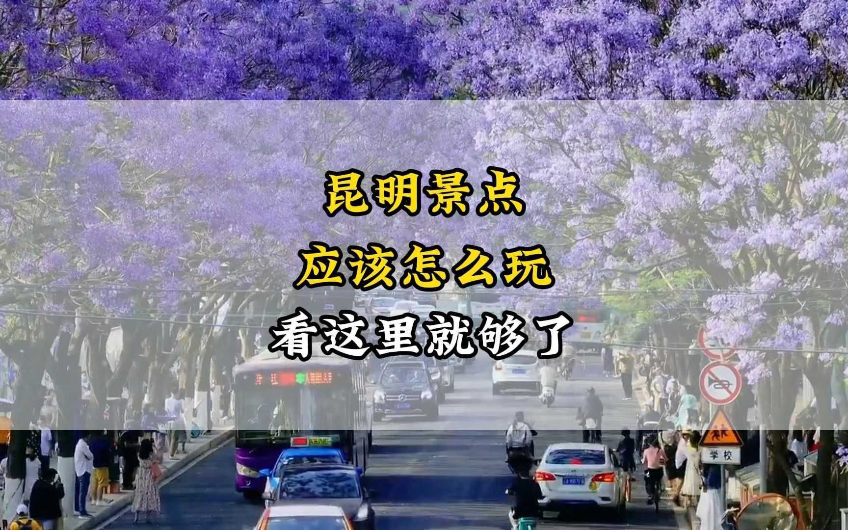 来昆明旅游,哪里的风景最好看,看完这个视频你就知道了哔哩哔哩bilibili