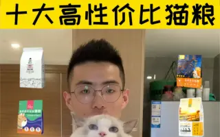 猫圣_ 搜索结果_哔哩哔哩_Bilibili