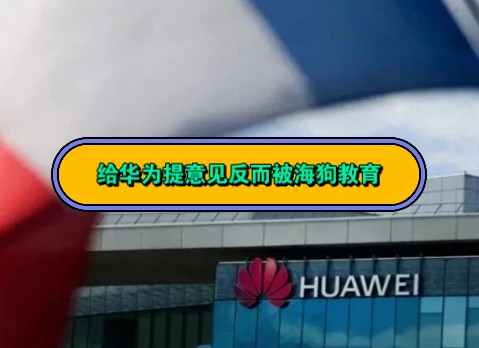 ...你们说我是很蠢的.难道你们就没有错误吗难道我们就只剩下华为了吗?其他国产厂商就不算吗我从来不极端.极端的是你们!我给华为提意见,就被你们...