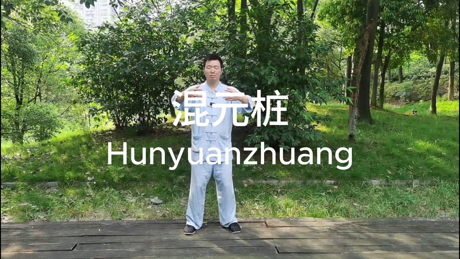 武术:基本功之混元桩 Martial Arts: Basic Skills of Hunyuan Zhuang哔哩哔哩bilibili