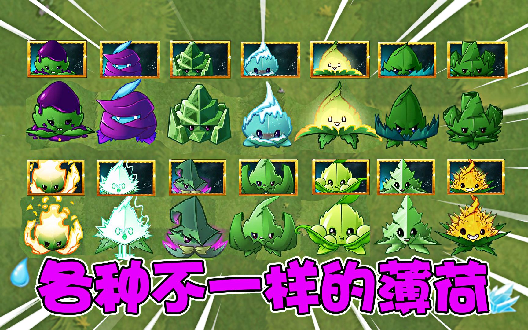 pvz2国际版薄荷图片