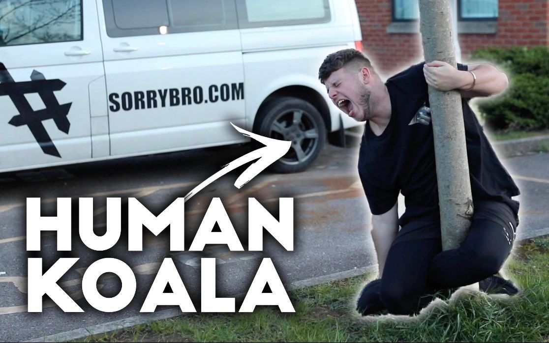 ben的整人计划2020人类考拉elliot