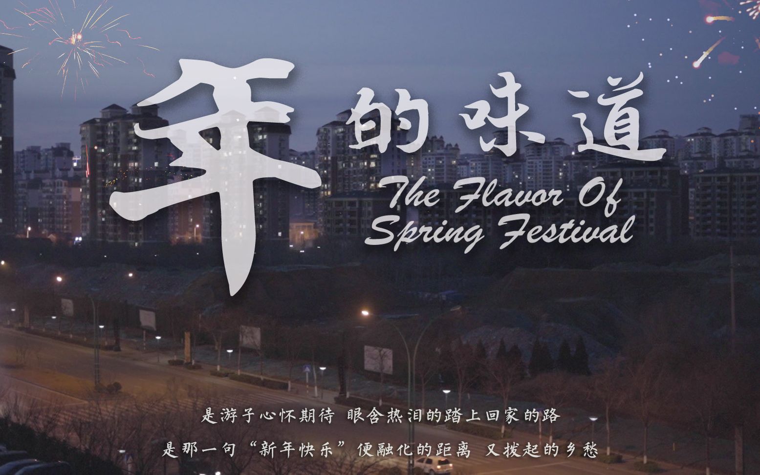 《年的味道》The Flavor Of Spring Festival 仪式感家庭的春节纪录片哔哩哔哩bilibili