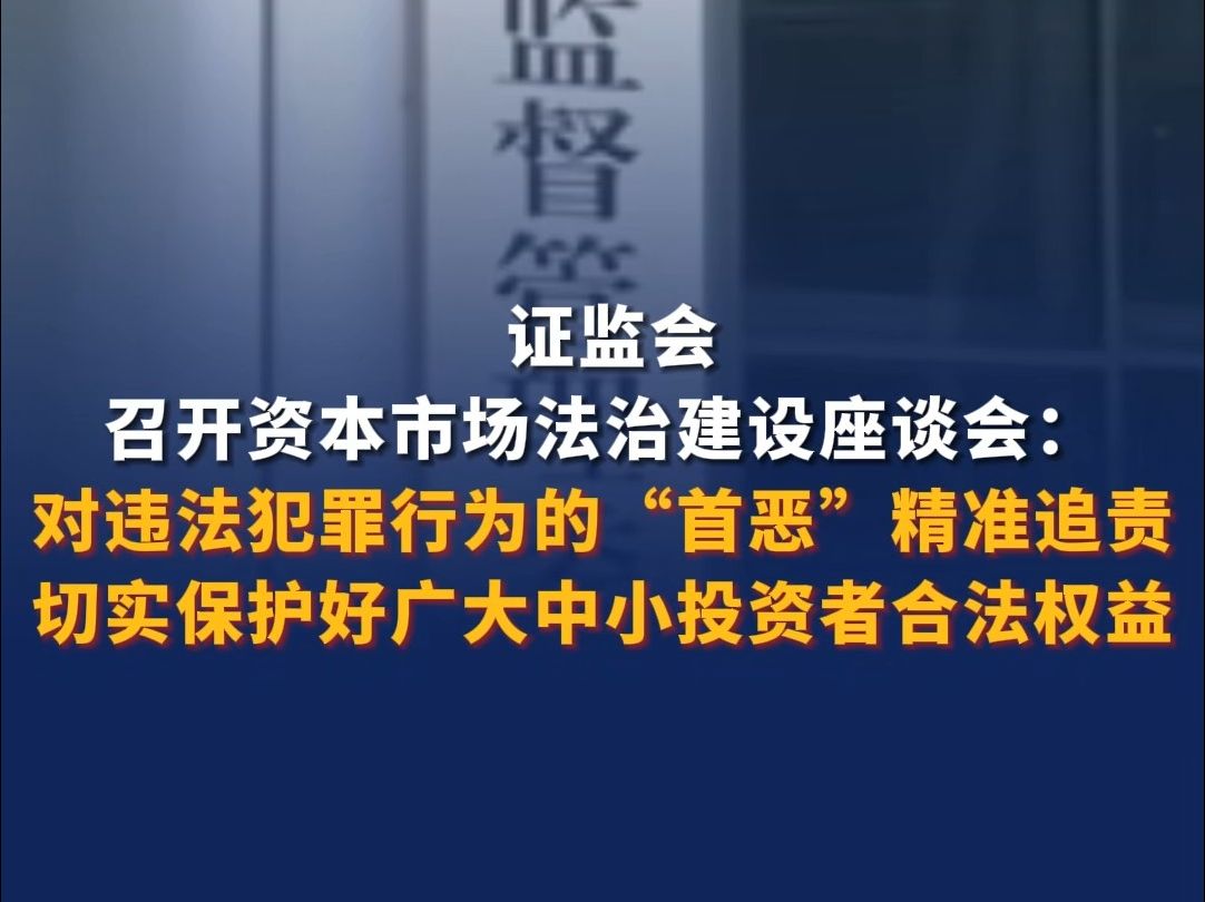 证监会召开资本市场法治建设座谈会 :对违法犯罪行为的“首恶”精准追责,切实保护好广大中小投资合法权益哔哩哔哩bilibili