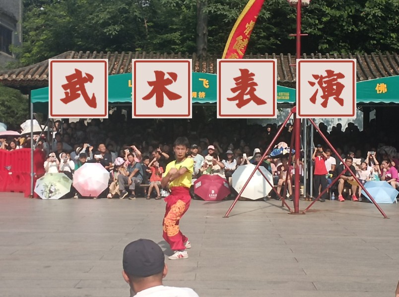 佛山/佛山祖庙/武术表演/黄飞鸿武术/中国功夫哔哩哔哩bilibili