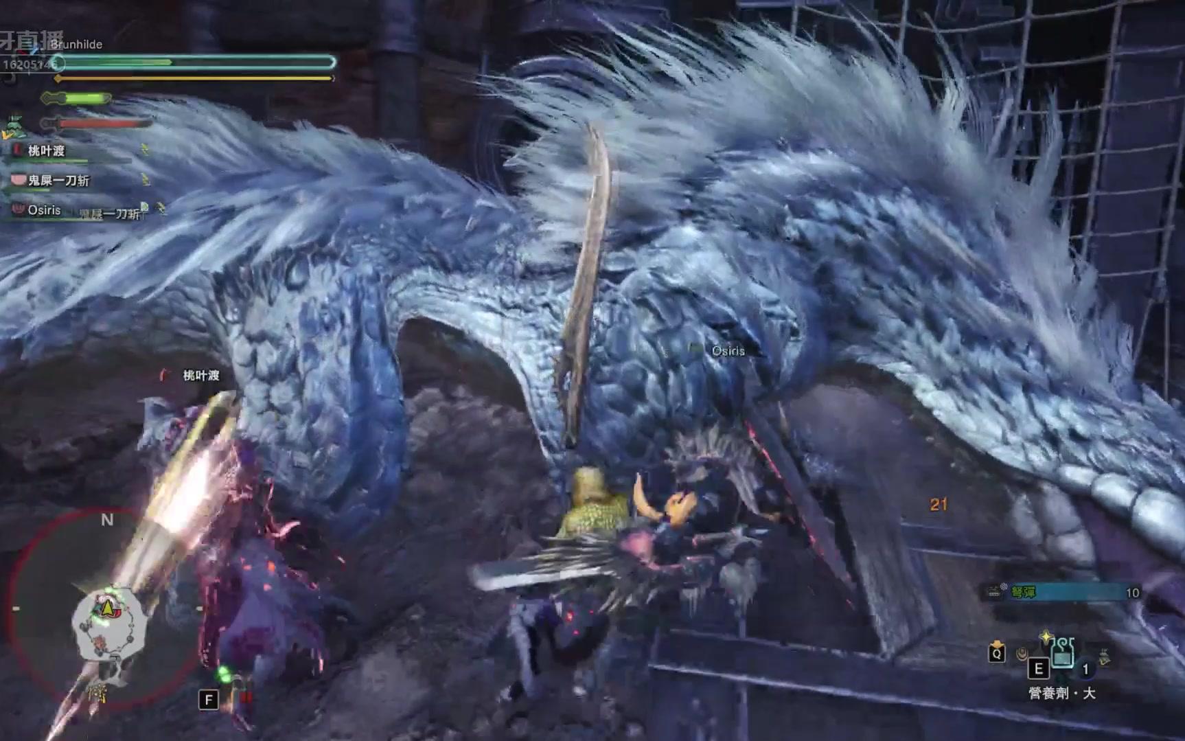 萌新怪物猎人世界之特殊斗技场:飞雷龙进阶篇_哔哩