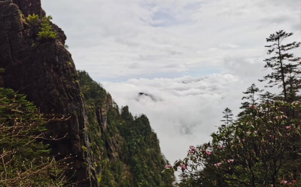 [图]神农架 山脚盛夏山顶春，山麓艳秋山顶冰。赤橙黄绿看不够，春夏秋冬最难分。