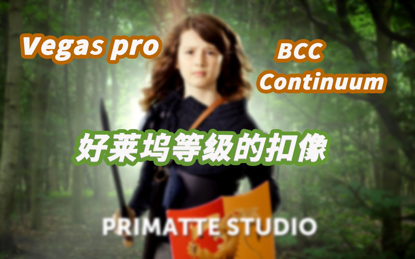 好莱坞电影绿布人像扣像 VEGAS Pro BCC 插件之 Primate Studio 教程哔哩哔哩bilibili