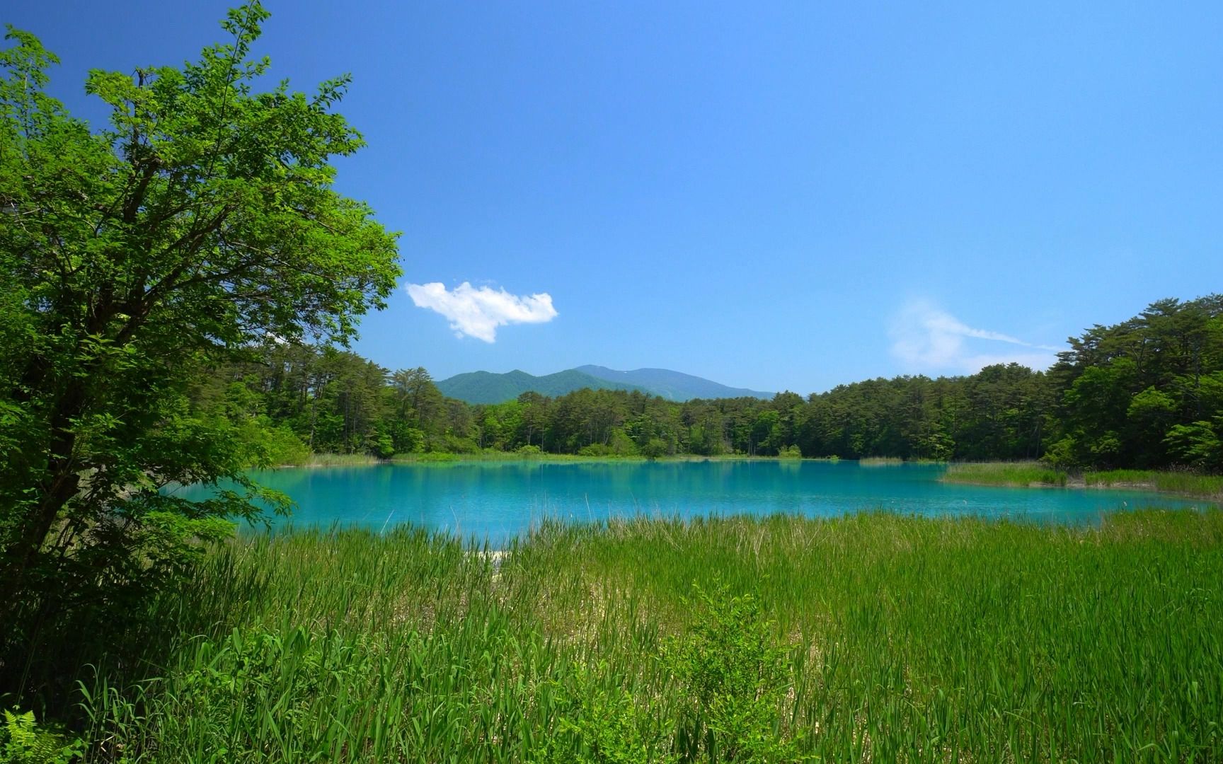 平静的湖面,温柔的春风,大自然的声音