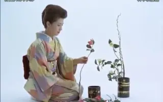 I1 Hdslb Com Bfs Archive ed154ebc4adf