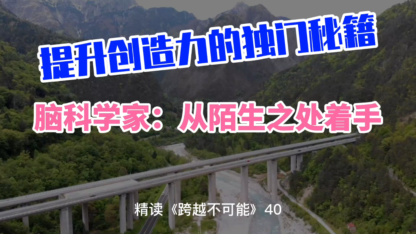 跨越不可能精读分享40脑科学家提升创造力的独门秘籍从陌生之处着手