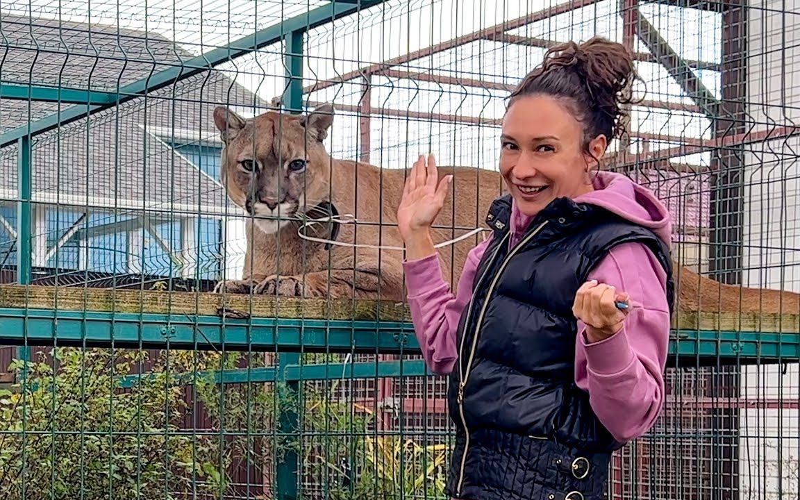 【猞猁姐姐】20221016--姐姐给各种猫咪打疫苗了!_哔哩哔哩_bilibili