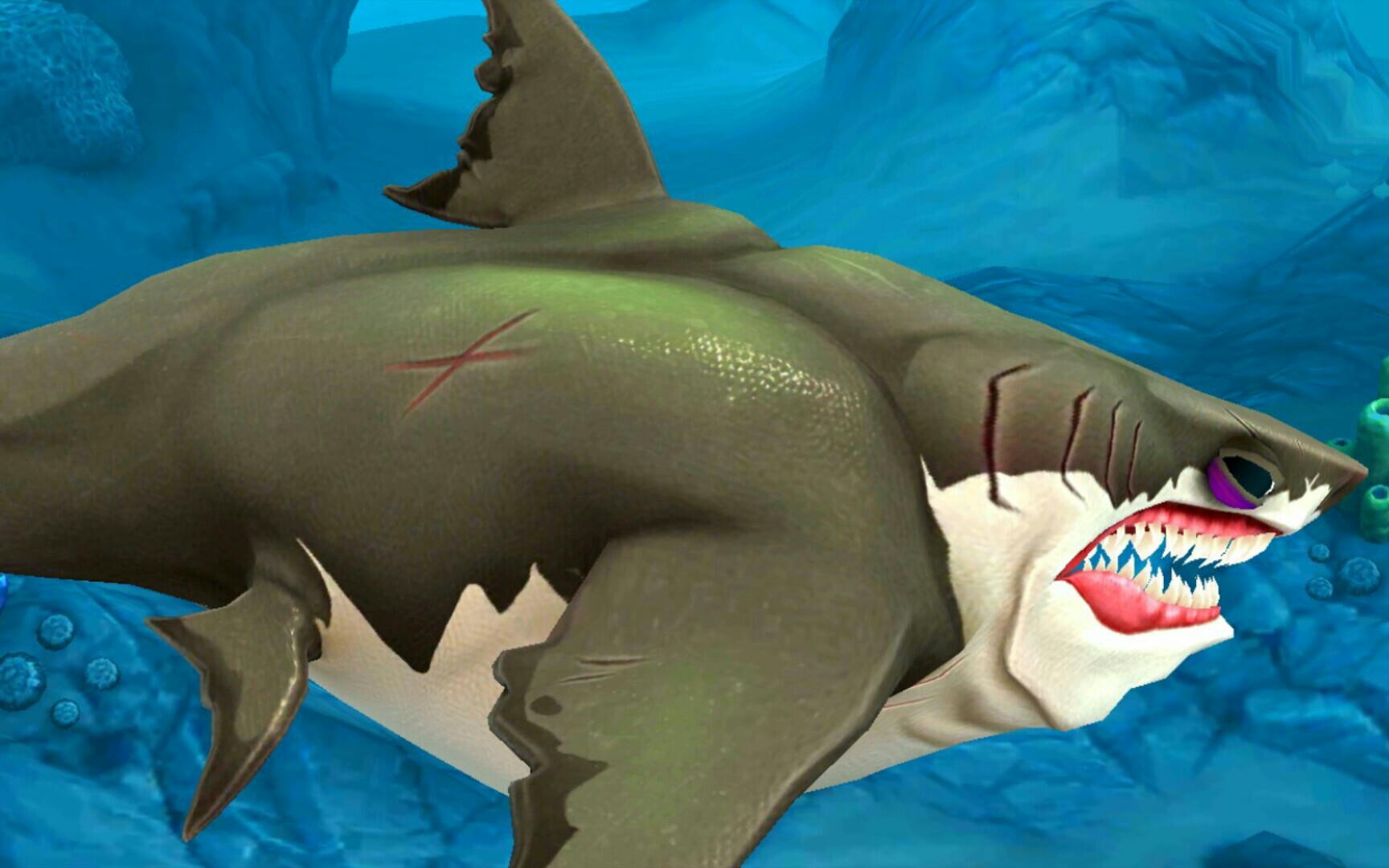 饥饿鲨古巨齿鲨图片