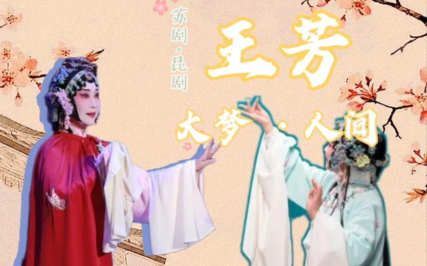 [图]【苏昆 · 王芳】大梦人间——“月朗星稀万籁幽”王芳角色群像混剪