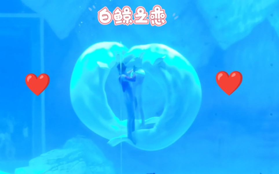 上海海昌海洋公园 《白鲸之恋》