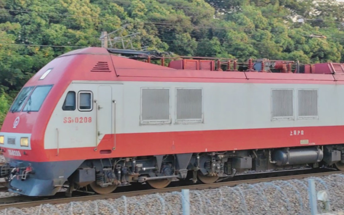 京沪线,上局沪段ss9g 0208牵引x111次列车通过林场站