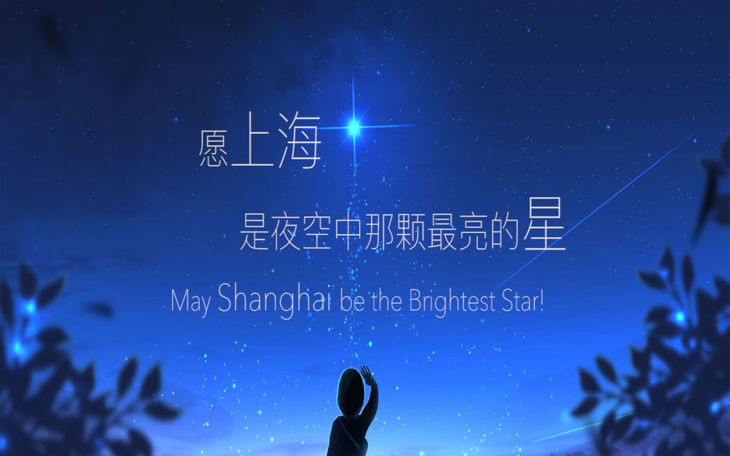 wishshanghaibethebrighteststar愿上海是夜空中那颗最亮的星