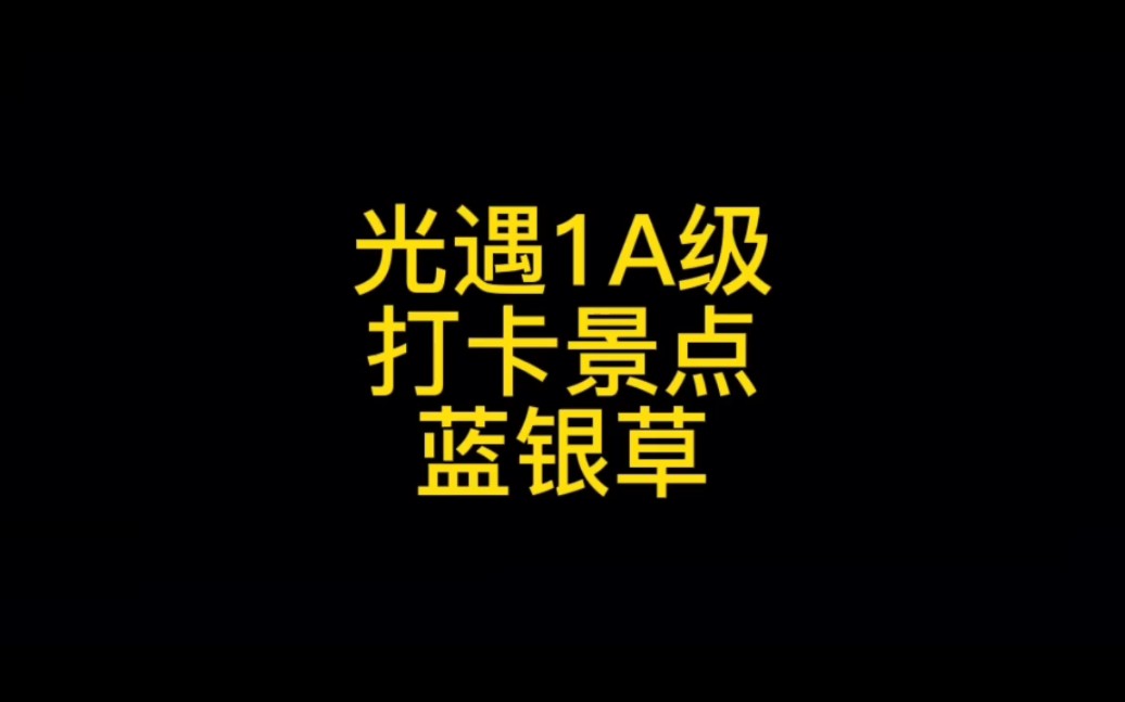 三个蓝色小草也是景点网络游戏热门视频