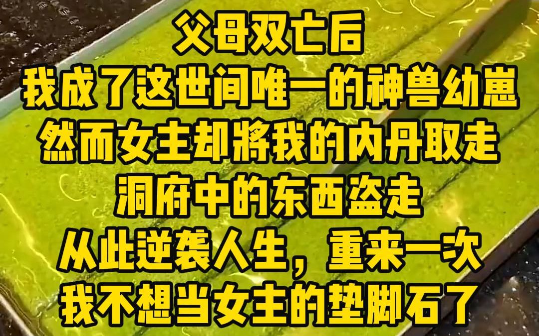 [图]第4集《命中机缘》父母双亡后，我成了这世间唯一的神兽幼崽，然而女主却将我的内丹取走，洞府中的东西盗走