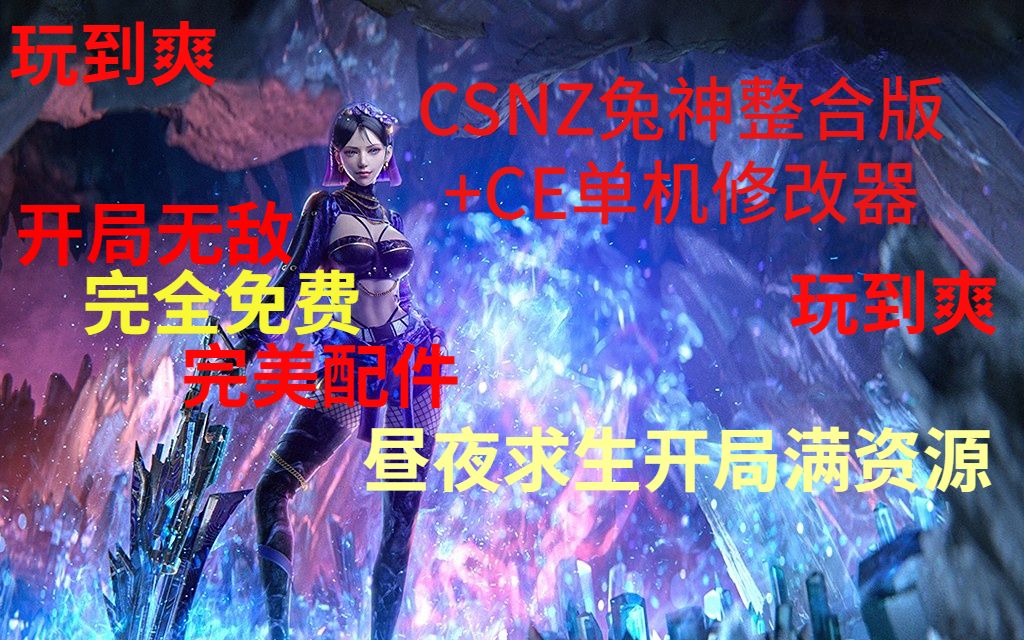 [图]CSNZ兔年神器最新完美配件单机版+单机修改器！