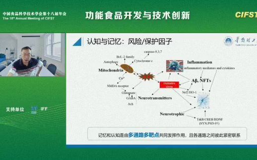 华南理工大学赵谋明核桃改善记忆肽的研究进展与产业化应用哔哩哔哩bilibili