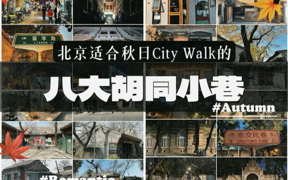 MORE盘点|北京八条适合秋日City Walk的胡同小巷.哔哩哔哩bilibili