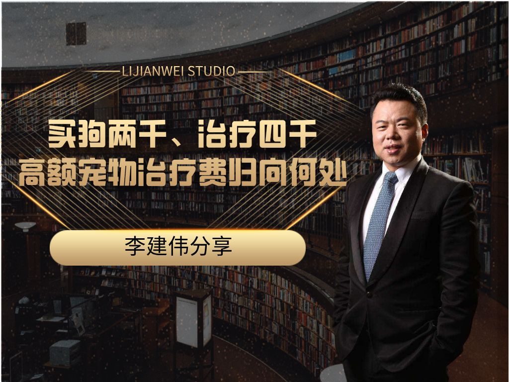 买狗两千、治疗四千,高额宠物治疗费归向何处?哔哩哔哩bilibili