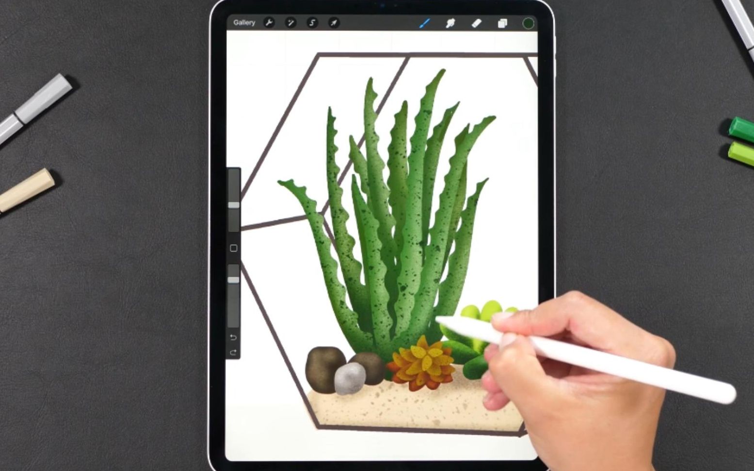 【Procreate教程】如何画芦荟哔哩哔哩bilibili