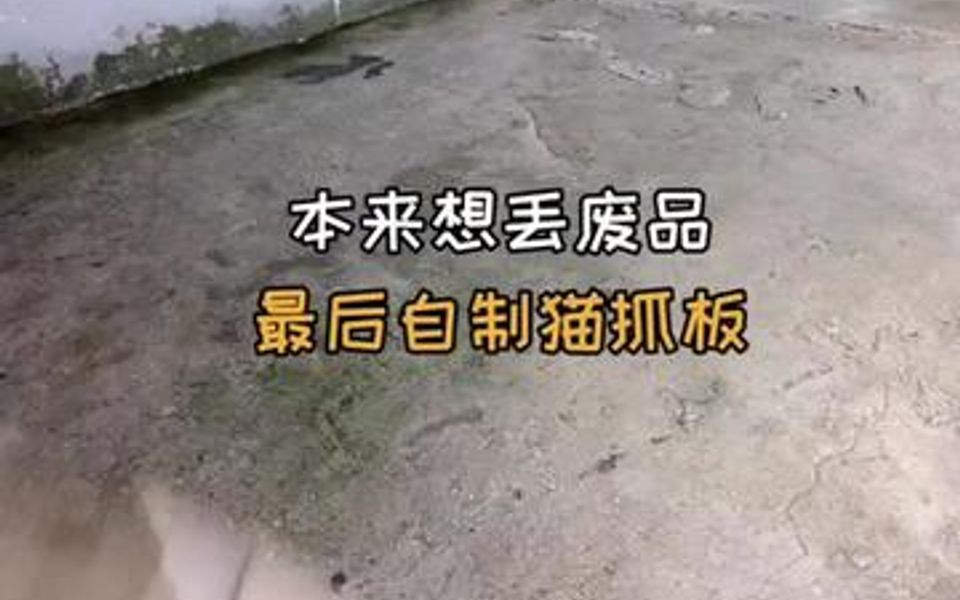 養貓直接把我搞成了心靈手巧02兩個鐘的自制貓抓板不是全網最醜但